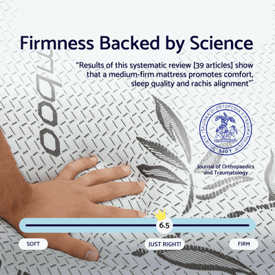 DreamAlign Back Relief Mattress Topper