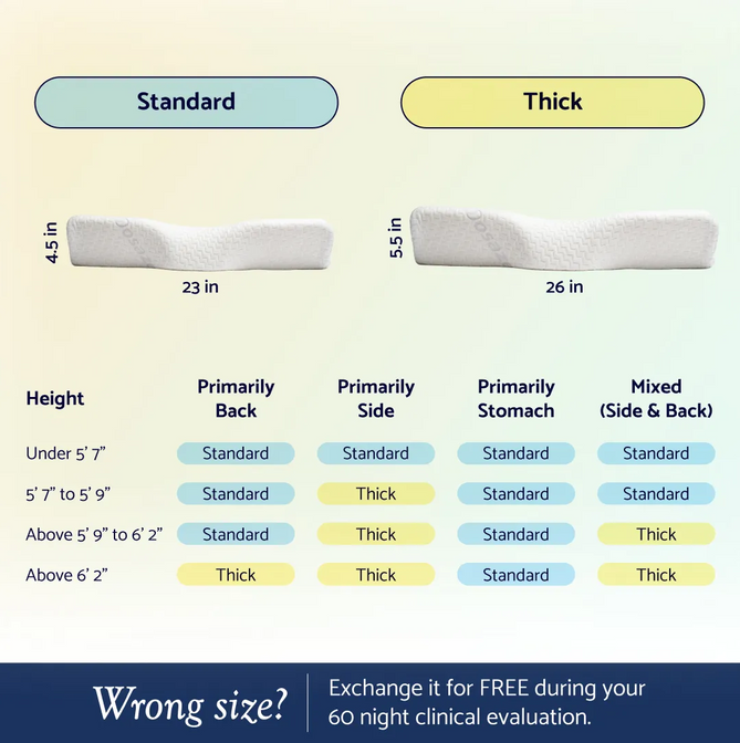 Dosaze contoured pillow size guide in inches